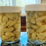 fermented garlic recipe