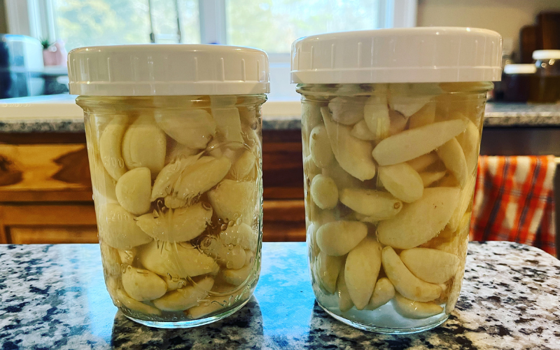 fermented garlic recipe