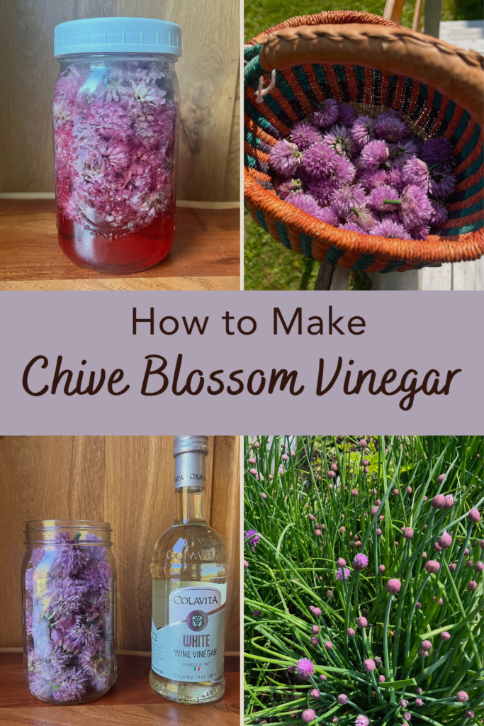 chive blossom vingar