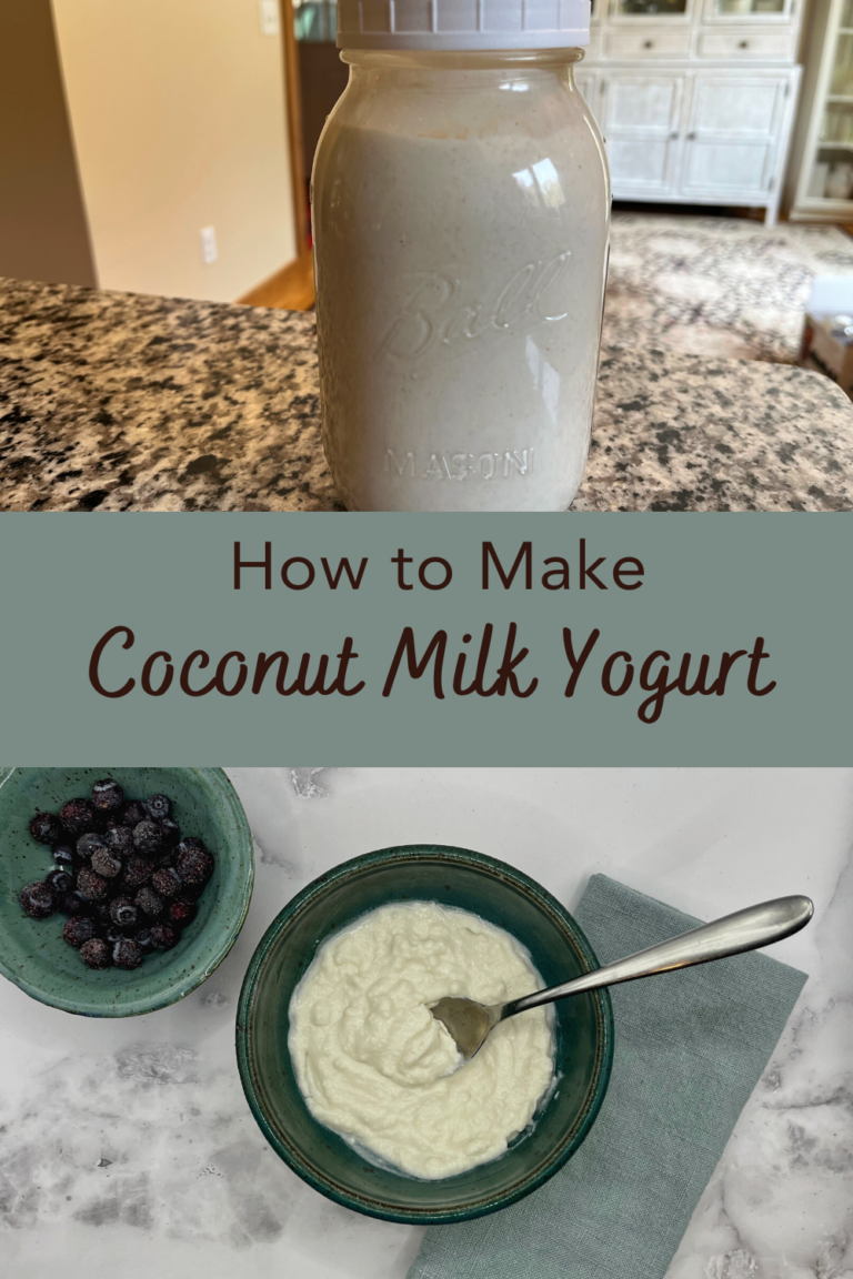 Coconut Milk Yogurt Recipe - The Holistic Mama