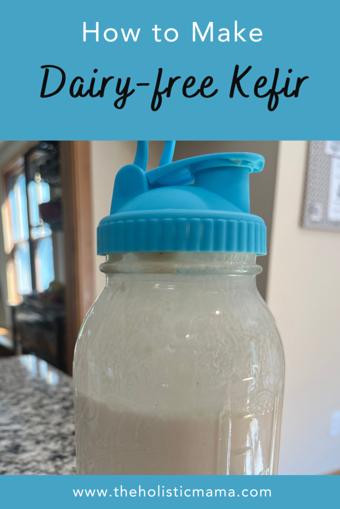 dairy-free kefir