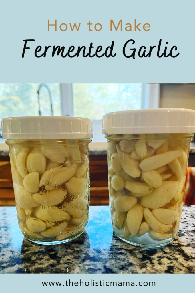 fermented garlic recipe
