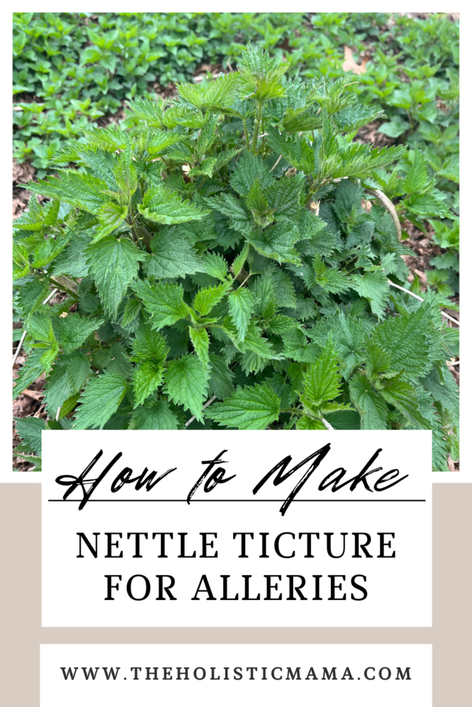 how to use stinging nettle