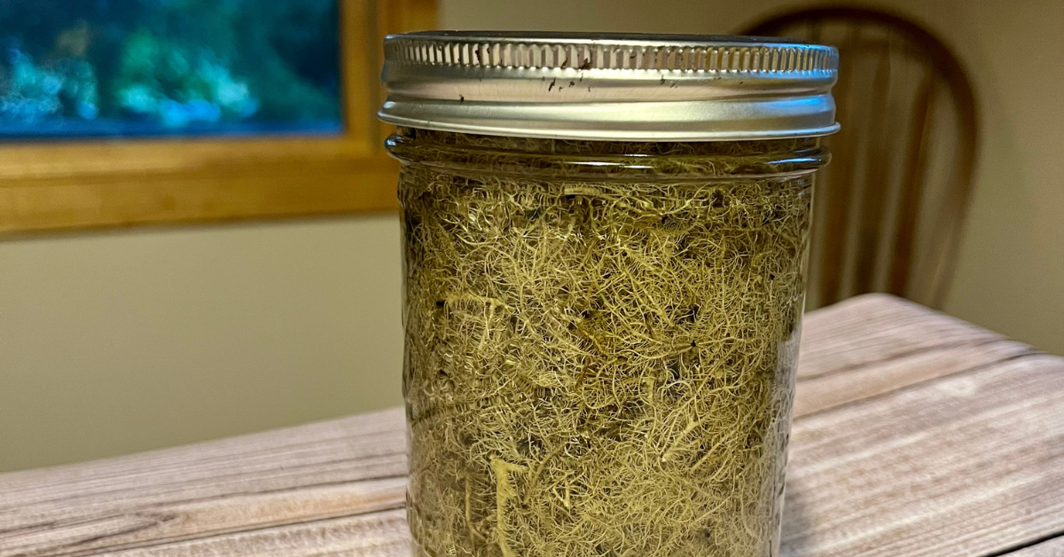how to make an herbal tincture