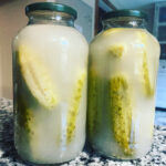 fermented sour dill pickles
