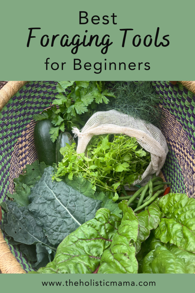 best foraging tools for beginners