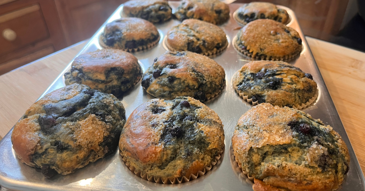 The Best Healthy Gluten free Lemon Blueberry Muffins