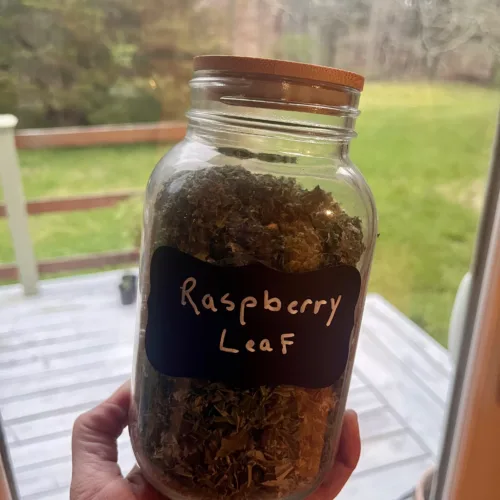 raspberry leaf tea