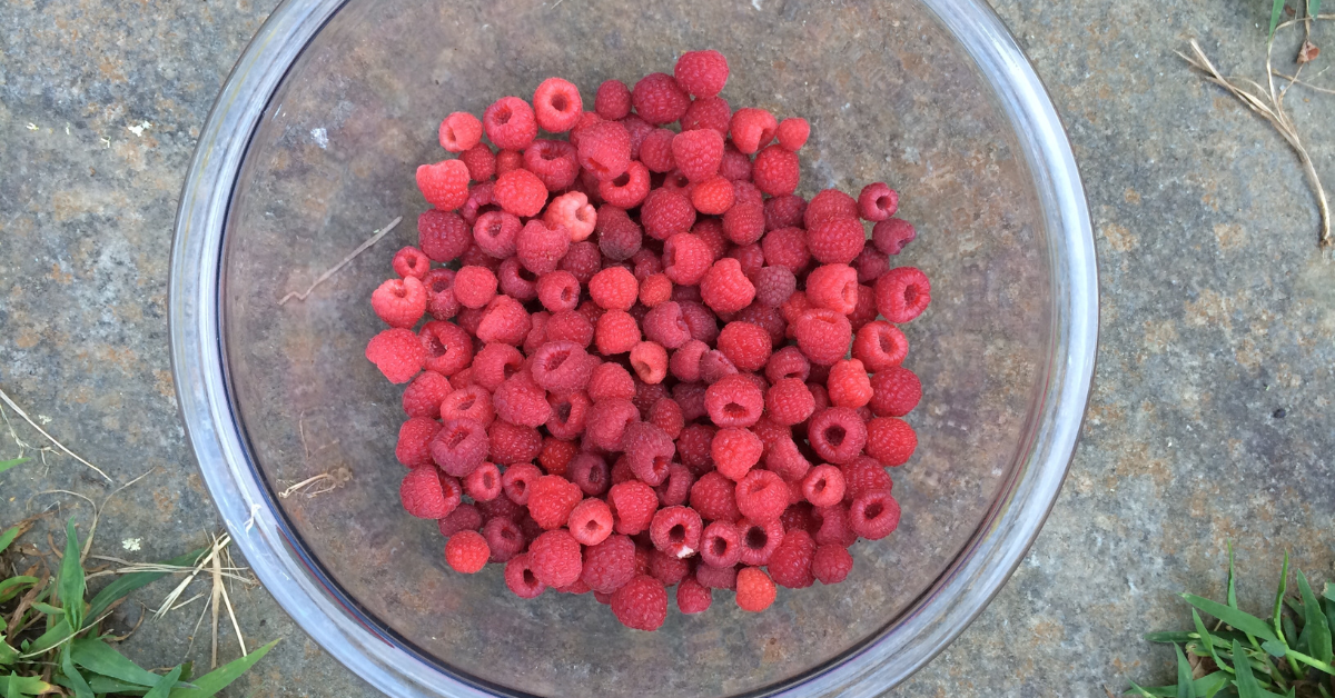 The Best Way to Freeze Fresh Berries