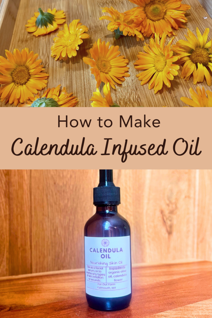 calendula infused oil