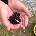 use summer break to strengthen your child's immunity
